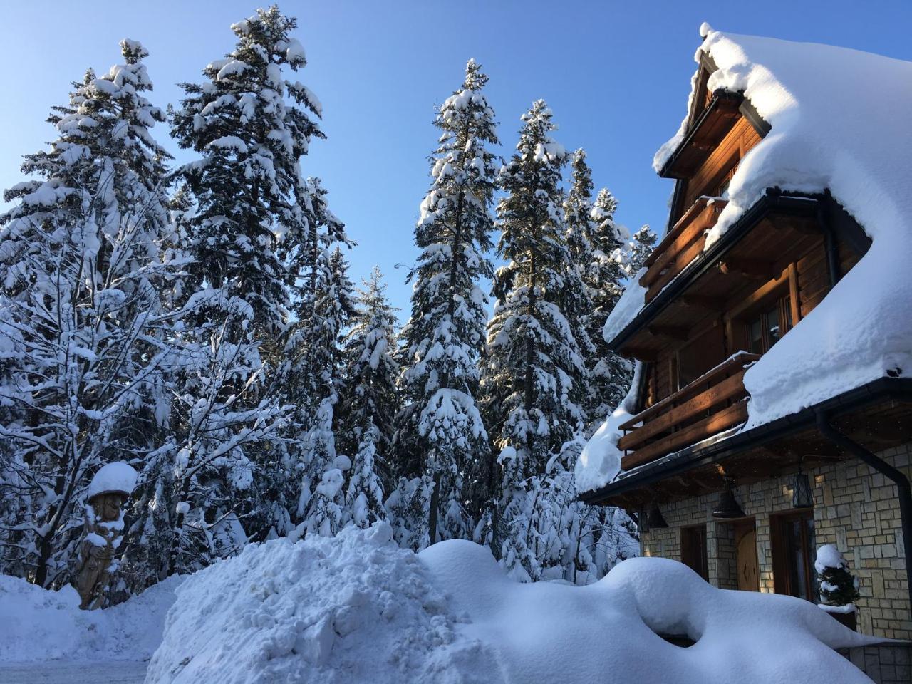 Hotel Dwor Karolowka Закопане Екстер'єр фото